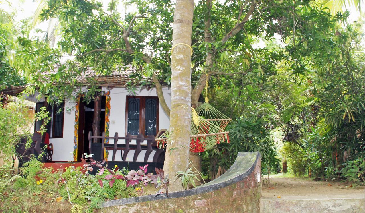 Hotel Big Banana Island Retreat North Paravur Exteriér fotografie